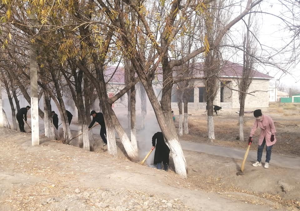 “Арық тазалап, ағаштарды әктетеді”. Алматы облысында әкімдік ұстаздарды жұмысқа жеккен