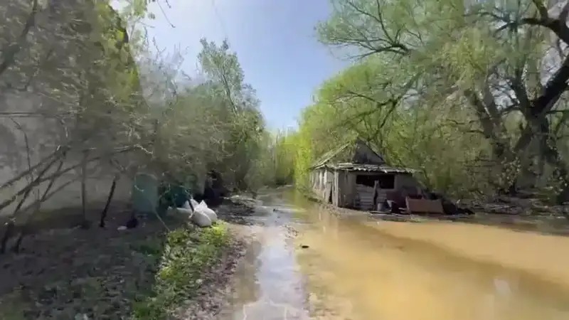 Жайық өзені кенерінен асып, Орал маңындағы саяжай аумақтарына су жайылды